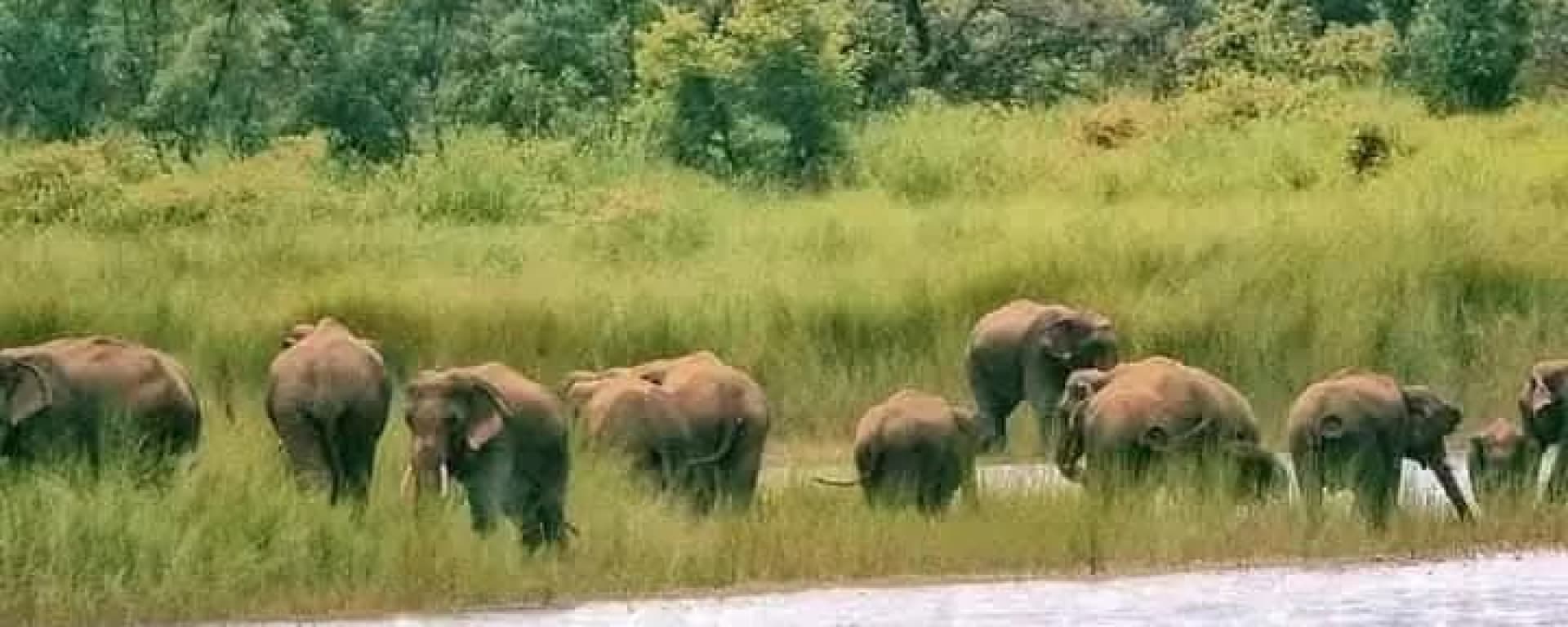 Bardiya National Park Tour