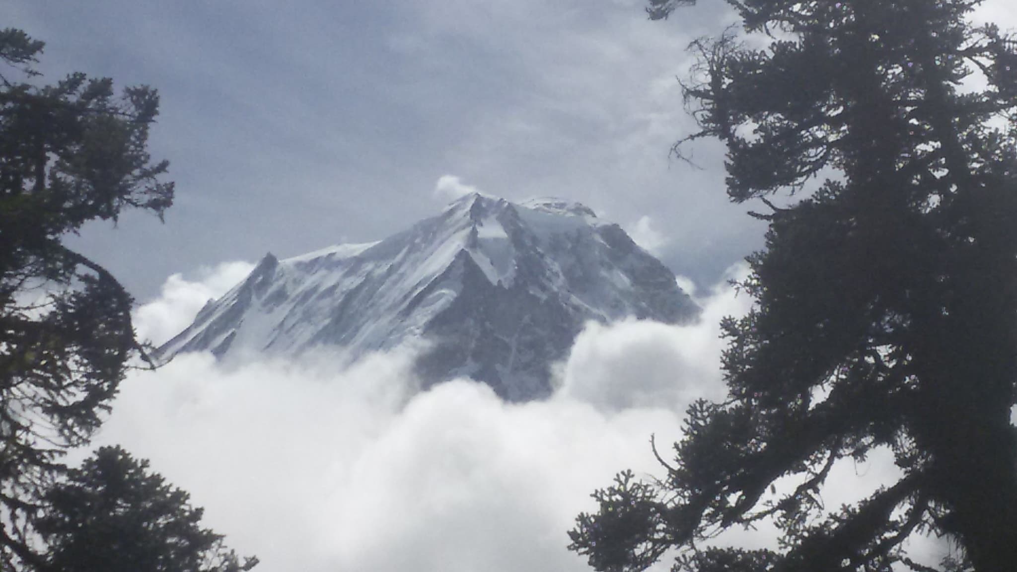 Larkya Peak Climbing